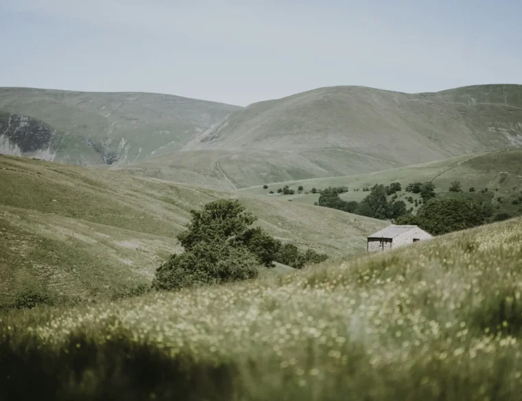 Rolling green hills with scattered trees and a stone cottage nestled in the landscape, under a clear sky